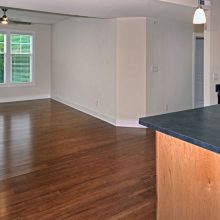 Lacey Harper - 1240 Living room