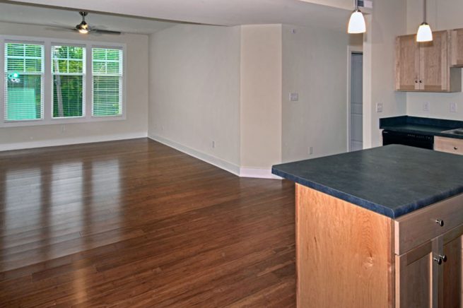 Lacey Harper - 1240 Living room
